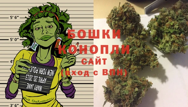 сатива Аркадак