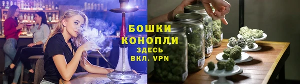 прущие грибы Арсеньев