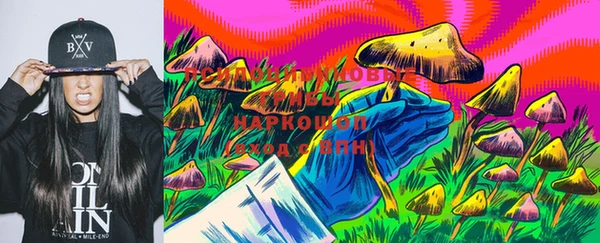 сатива Аркадак
