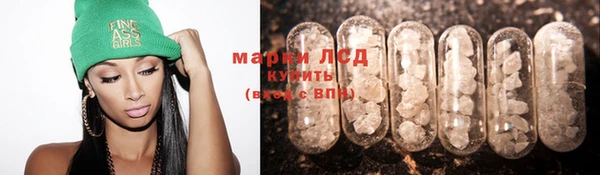 прущие грибы Арсеньев