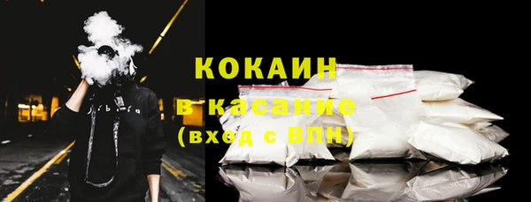 прущие грибы Арсеньев