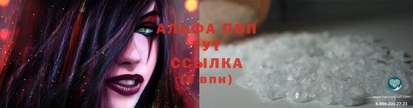 сатива Аркадак