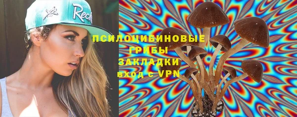 прущие грибы Арсеньев