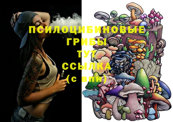 молекула духа Дмитров