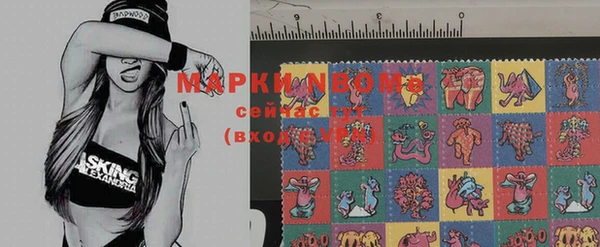 прущие грибы Арсеньев