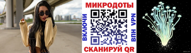 продажа наркотиков  Приморско-Ахтарск  Псилоцибиновые грибы Cubensis 